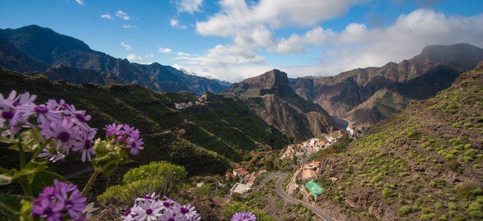 El Carrizal de Tejeda caseríos de Gran Canaria