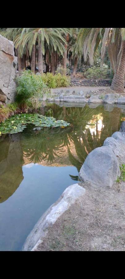 Jardín del Atlántico La Gomera