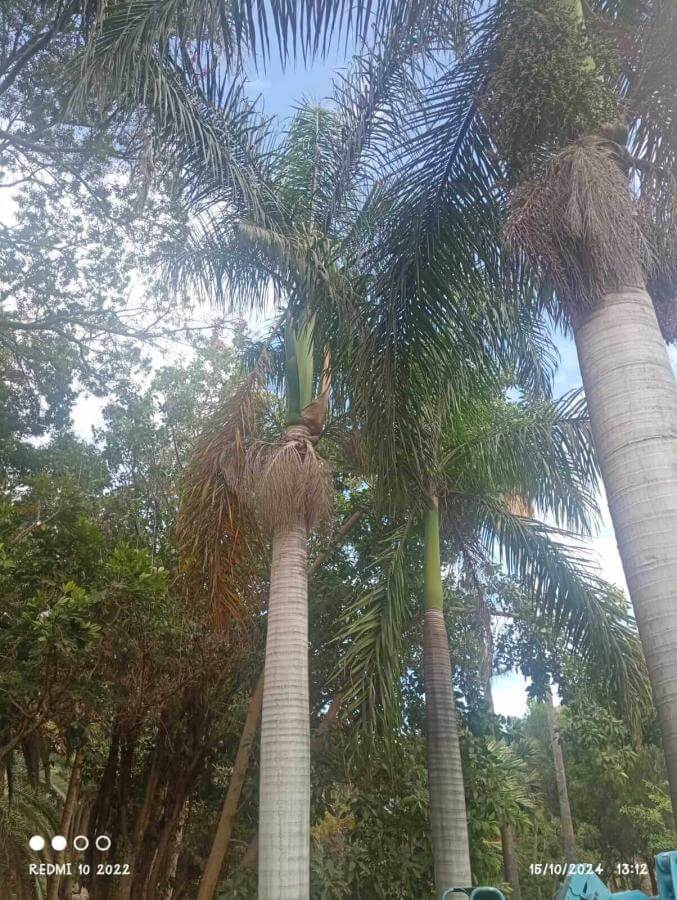 Jardín del Atlántico La Gomera
