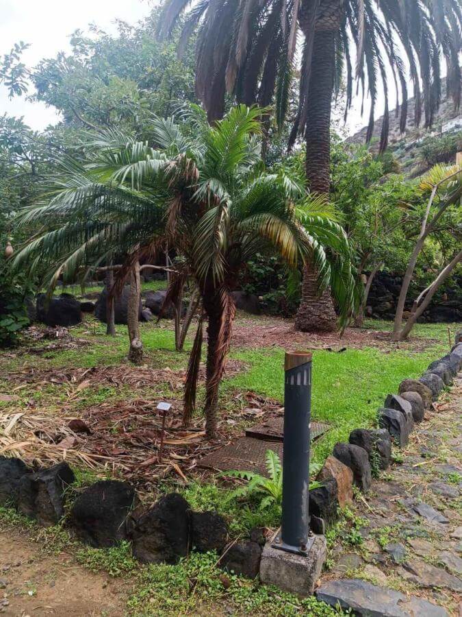 Jardín del Atlántico La Gomera