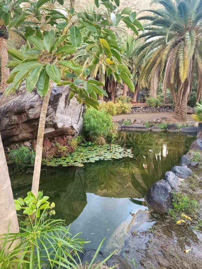 Jardín del Atlántico La Gomera