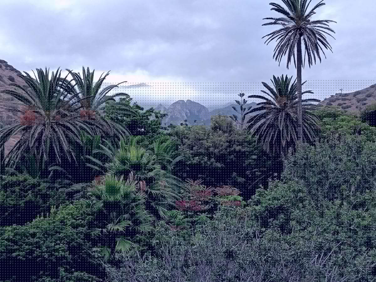Jardín Botánico del Descubrimiento