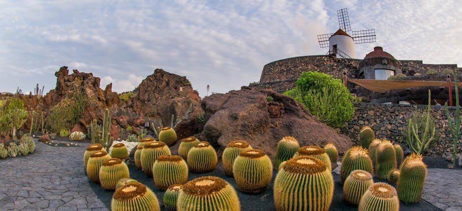 Парк кактусов Музеи и туристические центры Лансароте