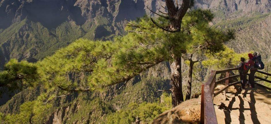 Mirador de La Cumbrecita, en La Palma