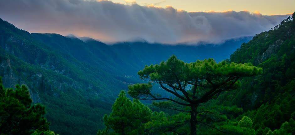 Mirador de La Cumbrecita, en La Palma