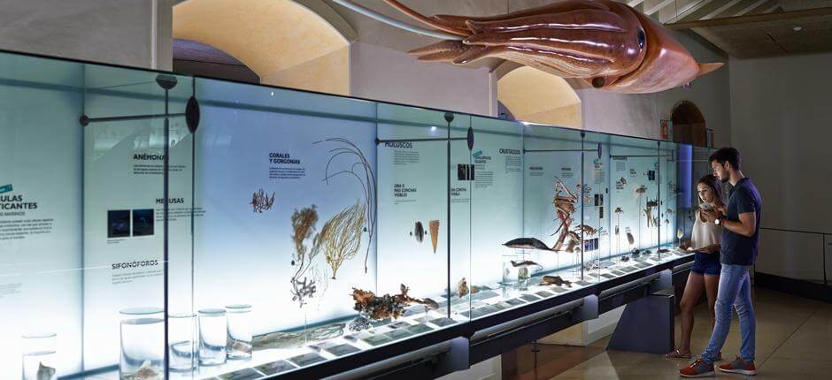 MUNA - Музей природы и археологии