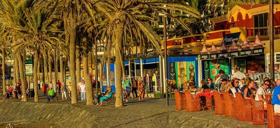 Playa de las Américas Destinos turísticos de Tenerife