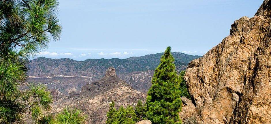 Roque Nublo + Senderos de Gran Canaria