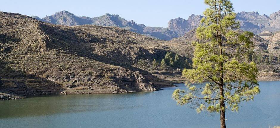 Senderismo en Ruta de las Presas Senderismo en Gran Canaria