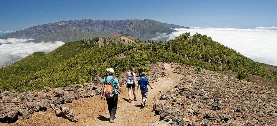 Ruta de los Volcanes + Senderos de La Palma