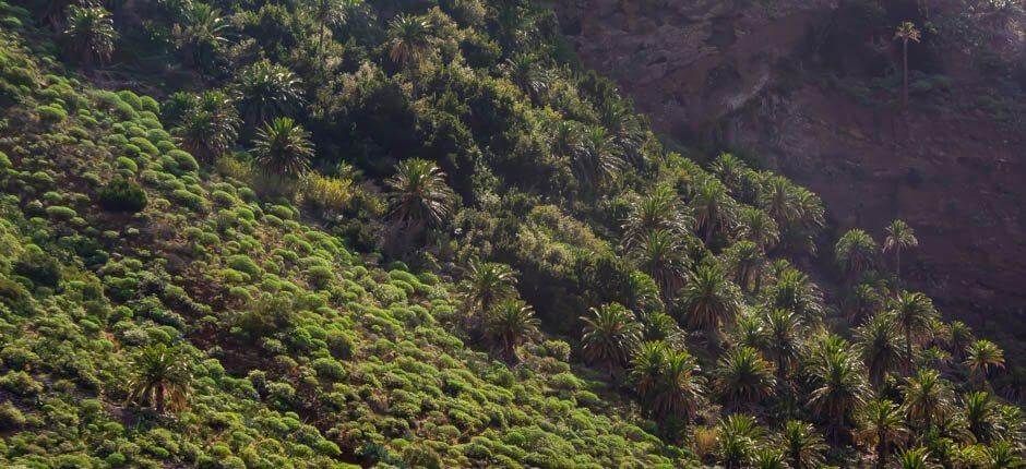 Taguluche caseríos de La Gomera