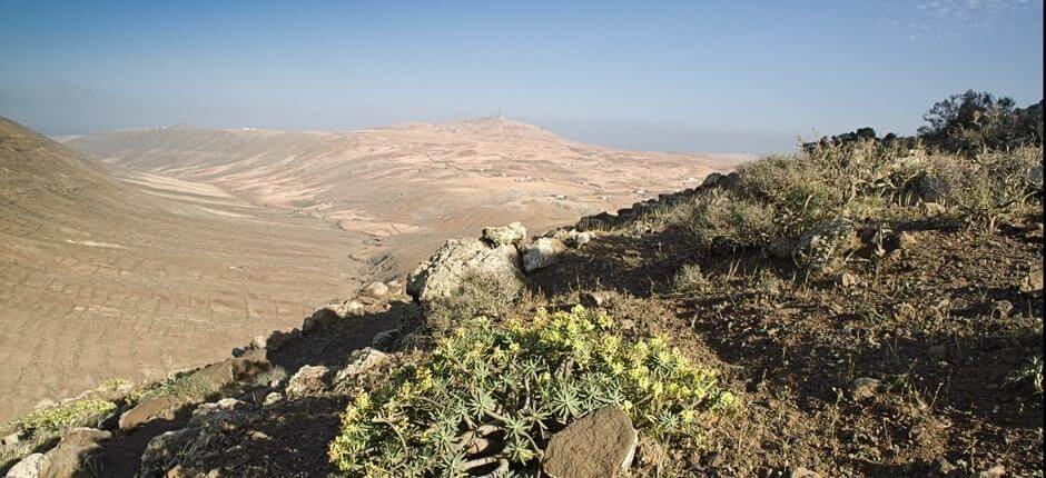 Vallebrón + Senderos de Fuerteventura