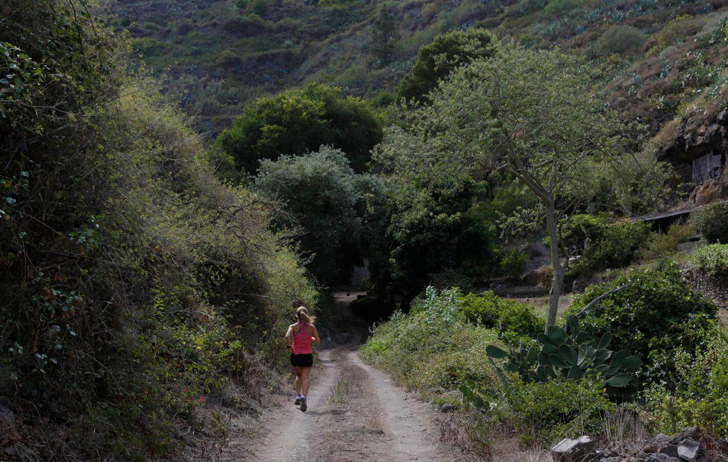 Valleseco-Trail